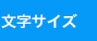 文字サイズ